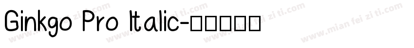 Ginkgo Pro Italic字体转换